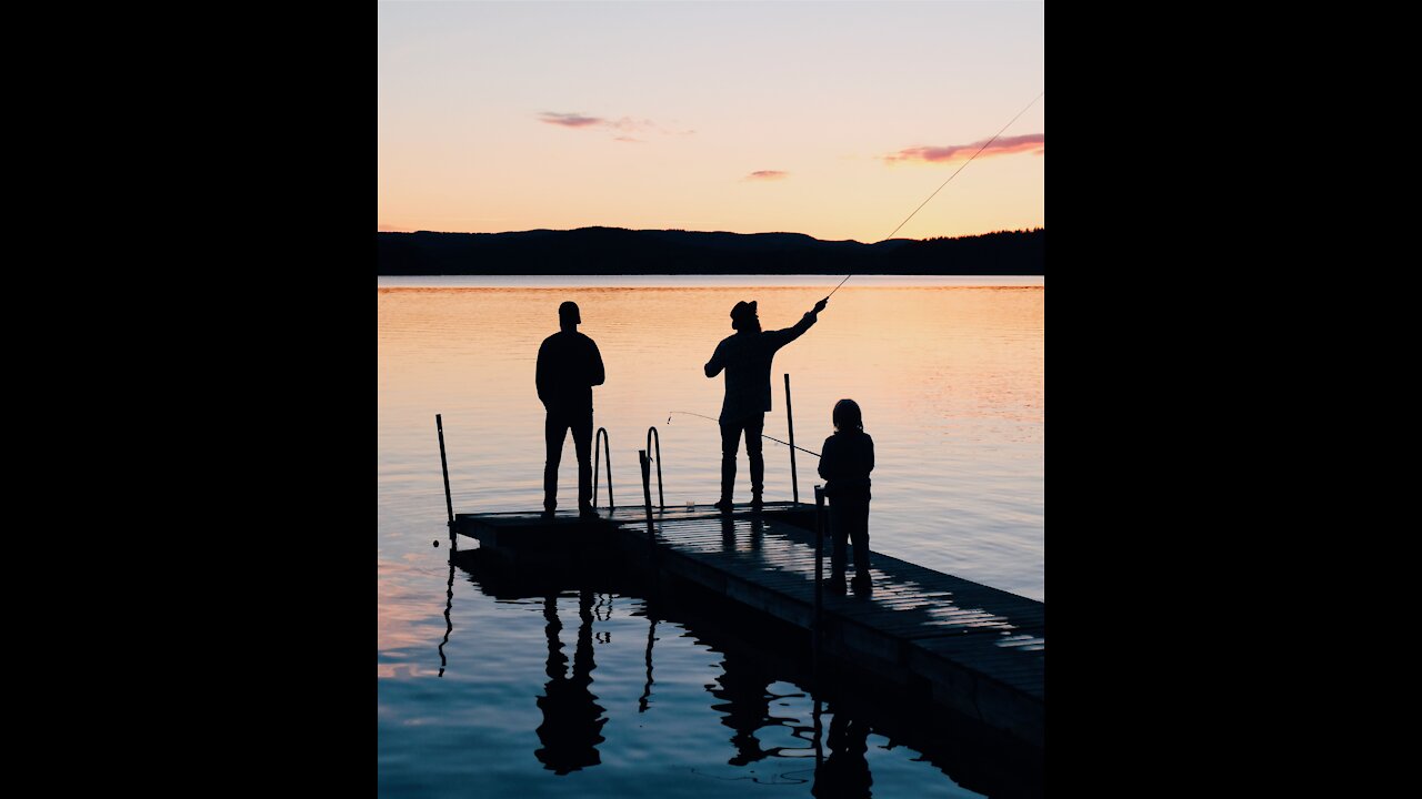 Catching Shrimps Scaling Wall During Flood 🐟 #shorts