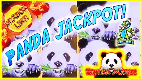 D BRINGS THE FAST MAGIC JACKPOT! Dragon Link Panda Magic Slot