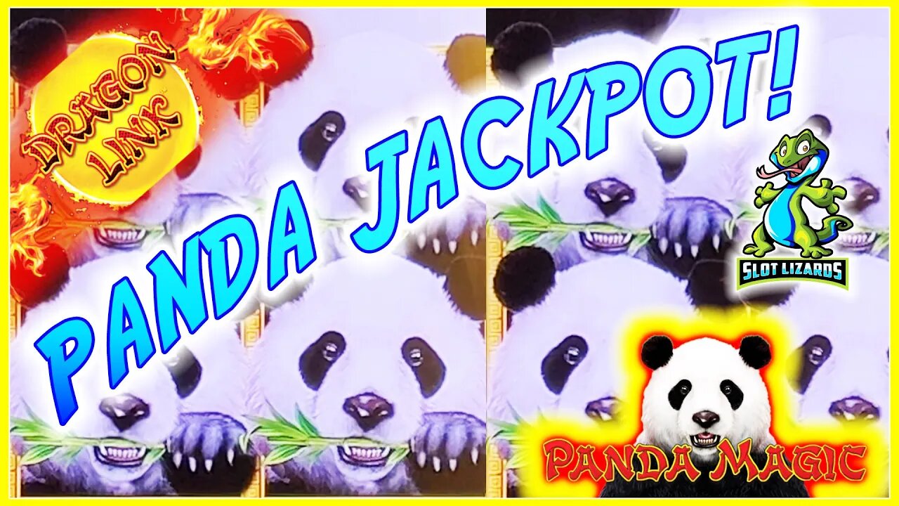 D BRINGS THE FAST MAGIC JACKPOT! Dragon Link Panda Magic Slot