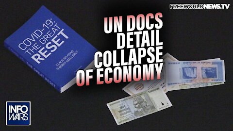 UN Docs Detail Planned Collapse of the Economy and Takeover of the Supply Chain