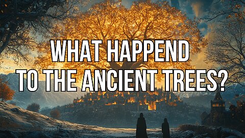 FLAT EARTH | WHAT HAPPENED TO THE ANCIENT TREES? 🌳