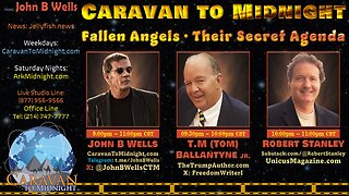 Fallen Angels: Their Secret Agenda - John B Wells LIVE