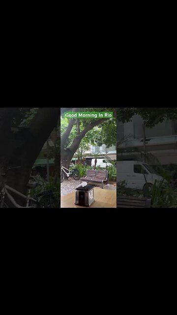 Good Morning In Rio de Janeiro #shorts