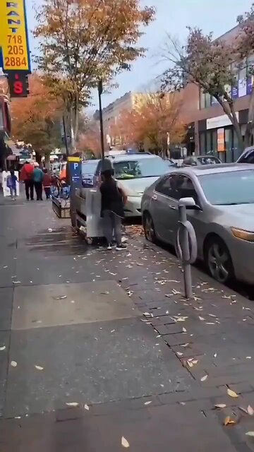 Save your pets, vote Trump