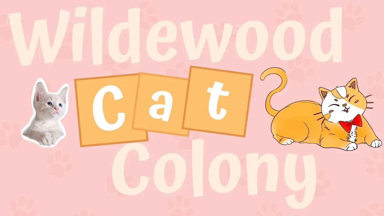 Wildewood Cat Colony Bixby The Miracle Kitty