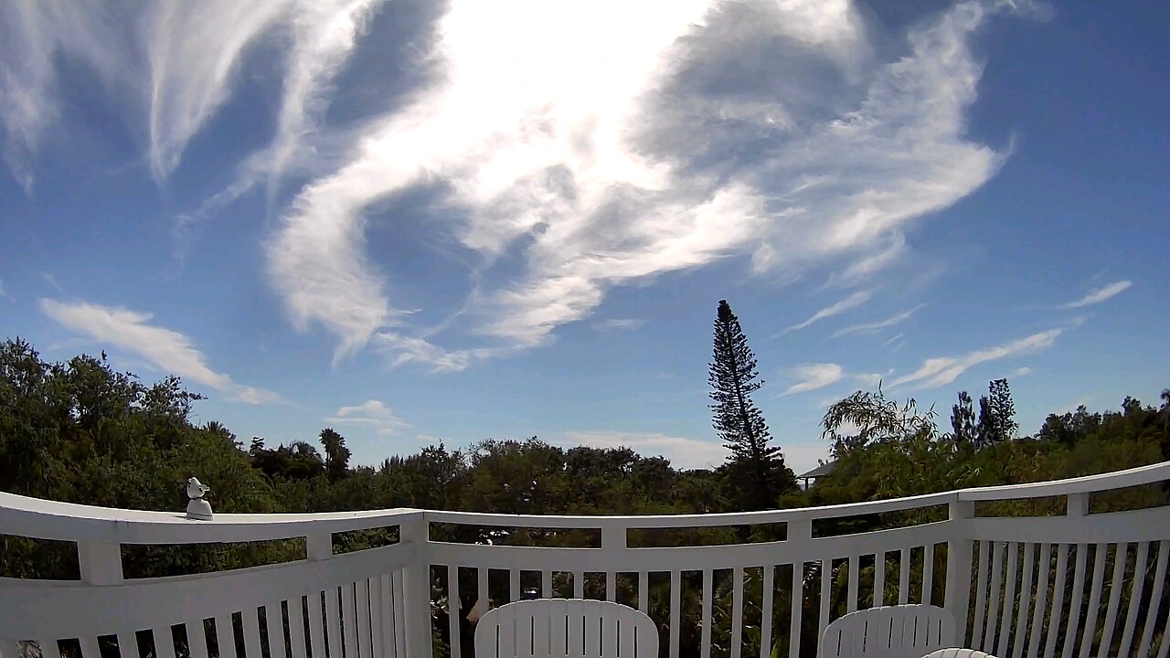 Siesta Key view