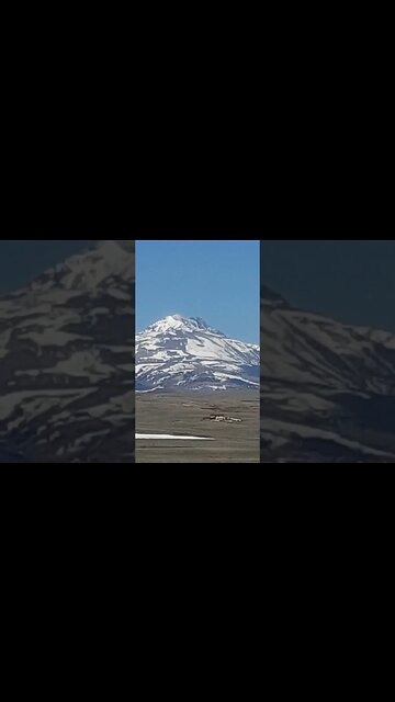 Spring is here 4 30 23