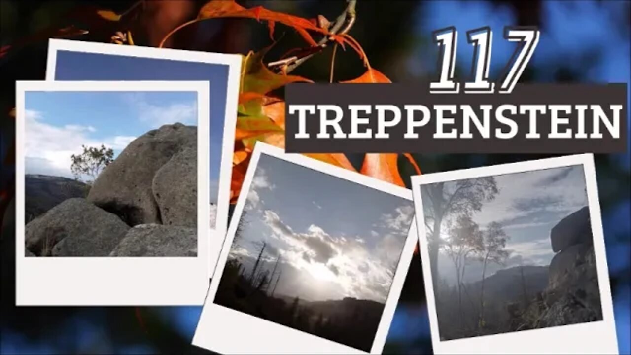 Treppenstein #shorts