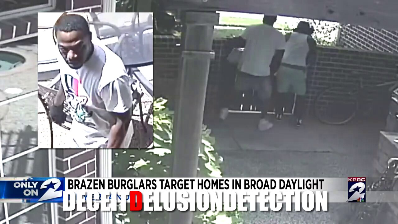 Brazen black burglars caught on camera minutes apart targeting white families' homes