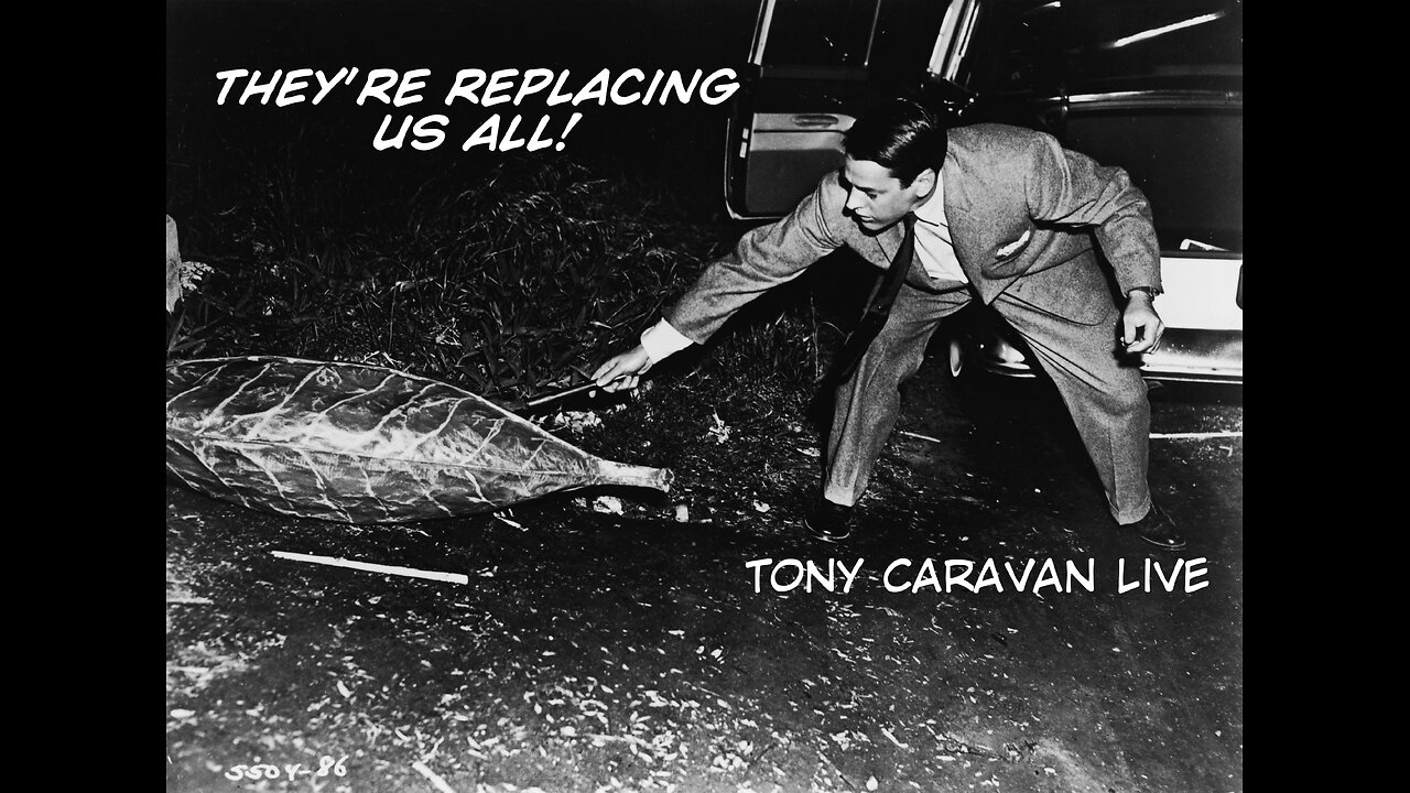 August 19, 2024 - Stealing Our Body, Mind & Spirit