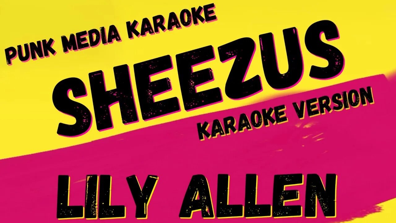 LILY ALLEN ✴ SHEEZUS ✴ KARAOKE INSTRUMENTAL ✴ PMK