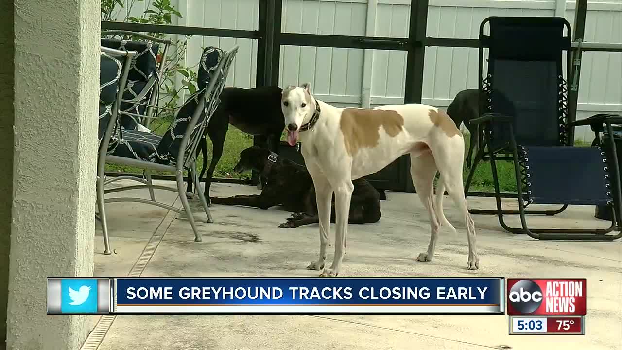 Florida greyhound racing tracks begin to close ahead of deadline