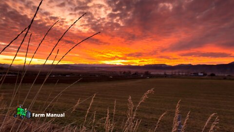 Farm | Another day of tranquility in the countryside