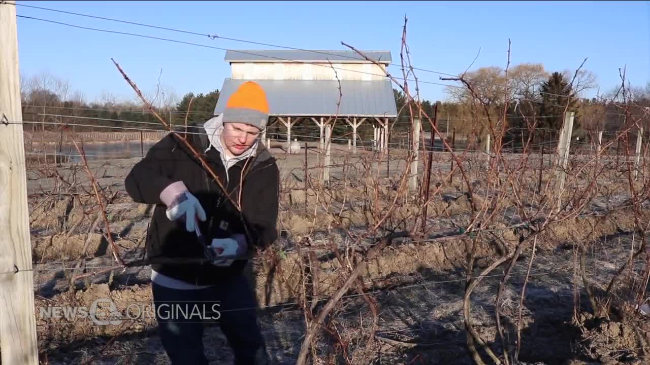 Numbers show young farmers are keeping the industry growing in Ohio