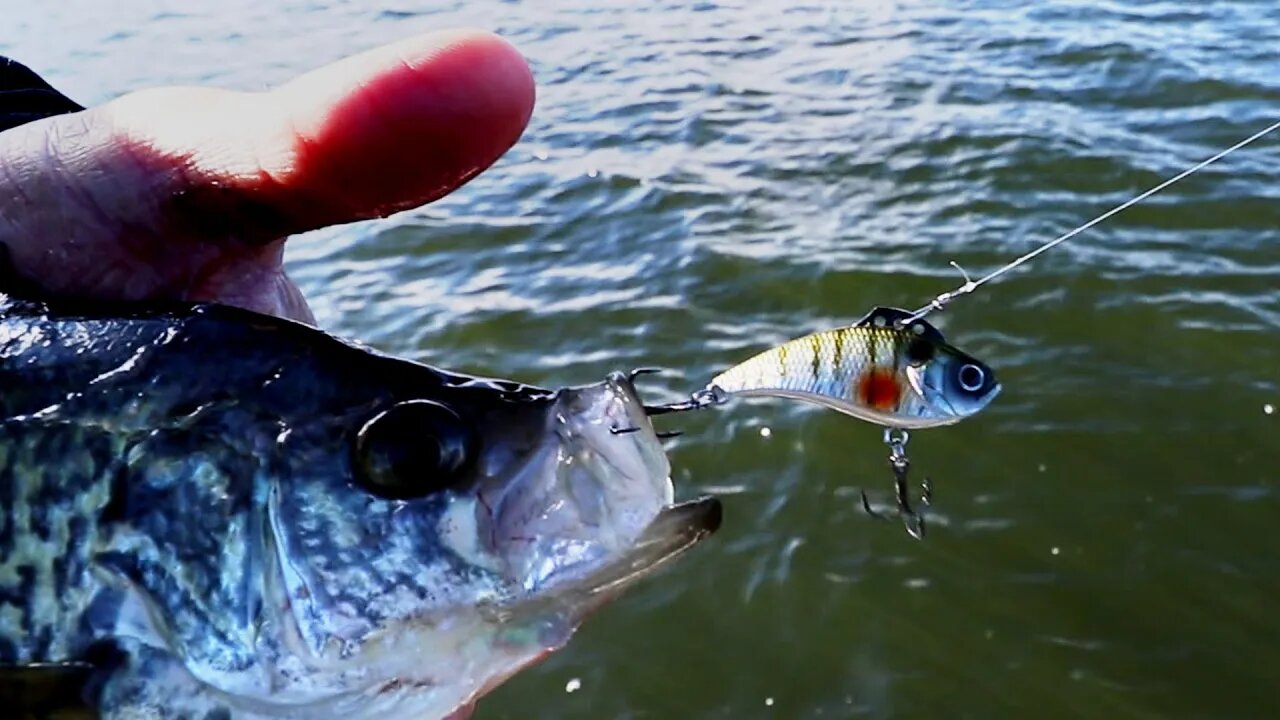 My Favorite Cold Water Crappie Lure (Fishing with a Subscriber)