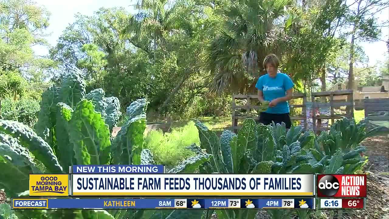 Organic farm forms healthy relationship with St. Pete clinic