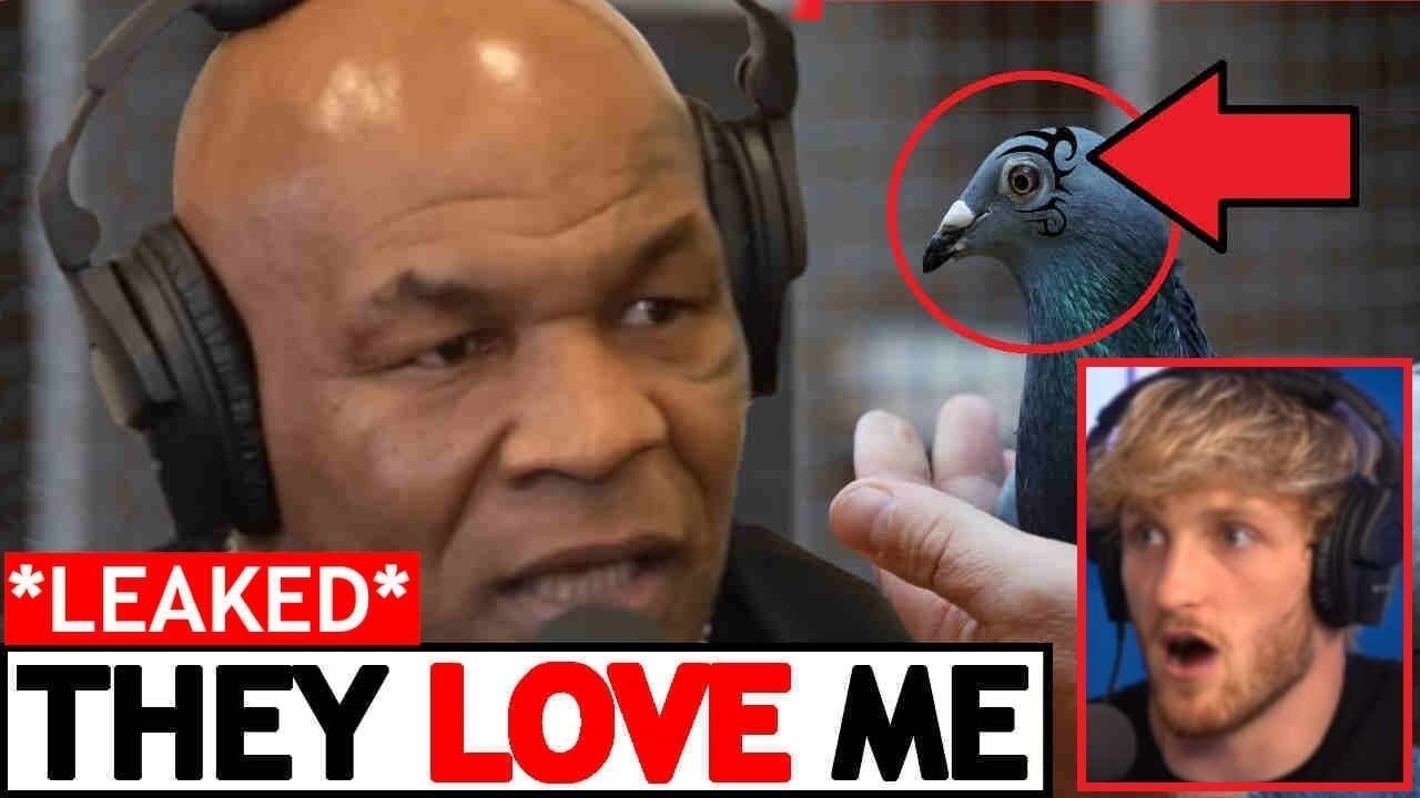 MIKE TYSON'S SCARY LOVE FOR PIGEONS?👀LOGAN PAUL SH*TS HIMSELF!