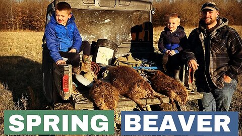 Spring Beaver - Eason Season