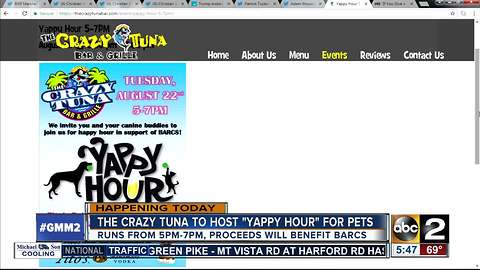 "Yappy Hour" to benefit BARCS