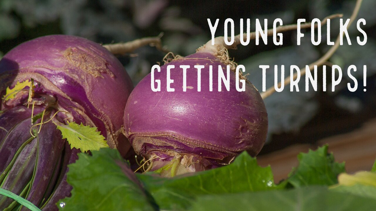 Ms. Mant T. Is Delighted That The Young Folks Like Turnips