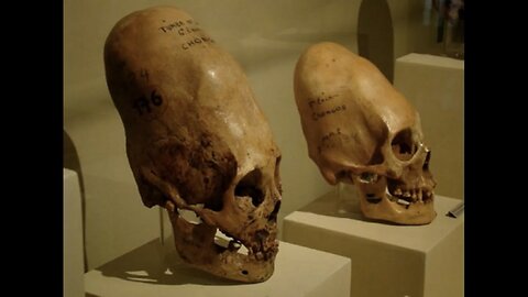 Our hidden historical past… hybrids or original humans?