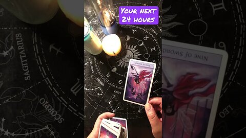 Your next 24 hours