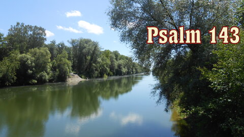 Psalm 143