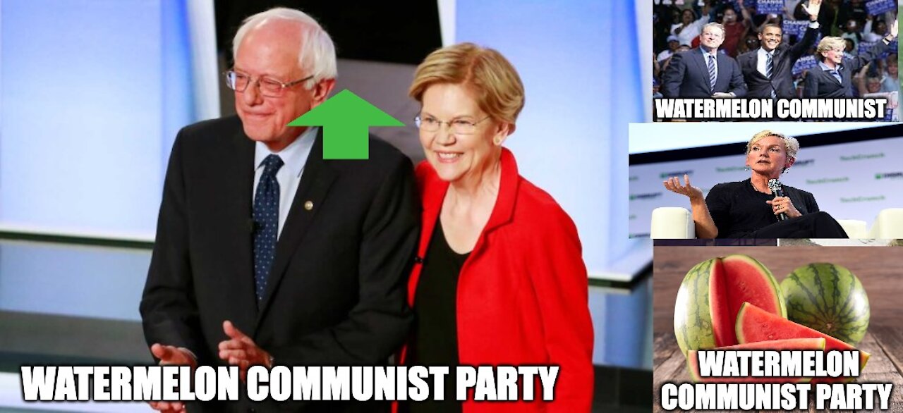 The Watermelon Communist Used Nepotism To Promote Electric Co. Proterra