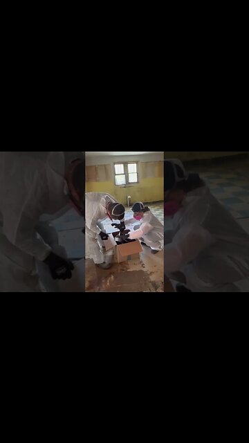 DIY ASBESTOS Tile Removal #diy #renovation #demo