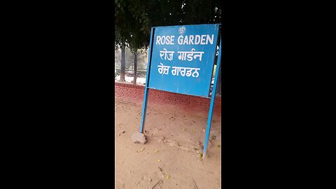 tour of rose garden at chandigarh