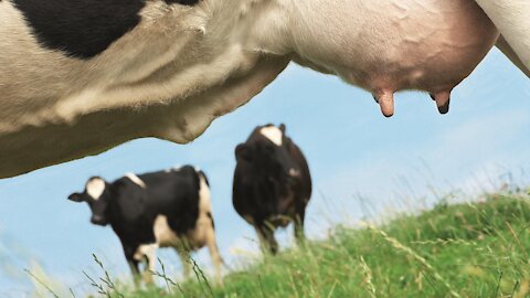 LE VOSTRE VANITA' DELLE VANITA'. SORELLA, FRATELLA SEI UNA DONNA VANA??