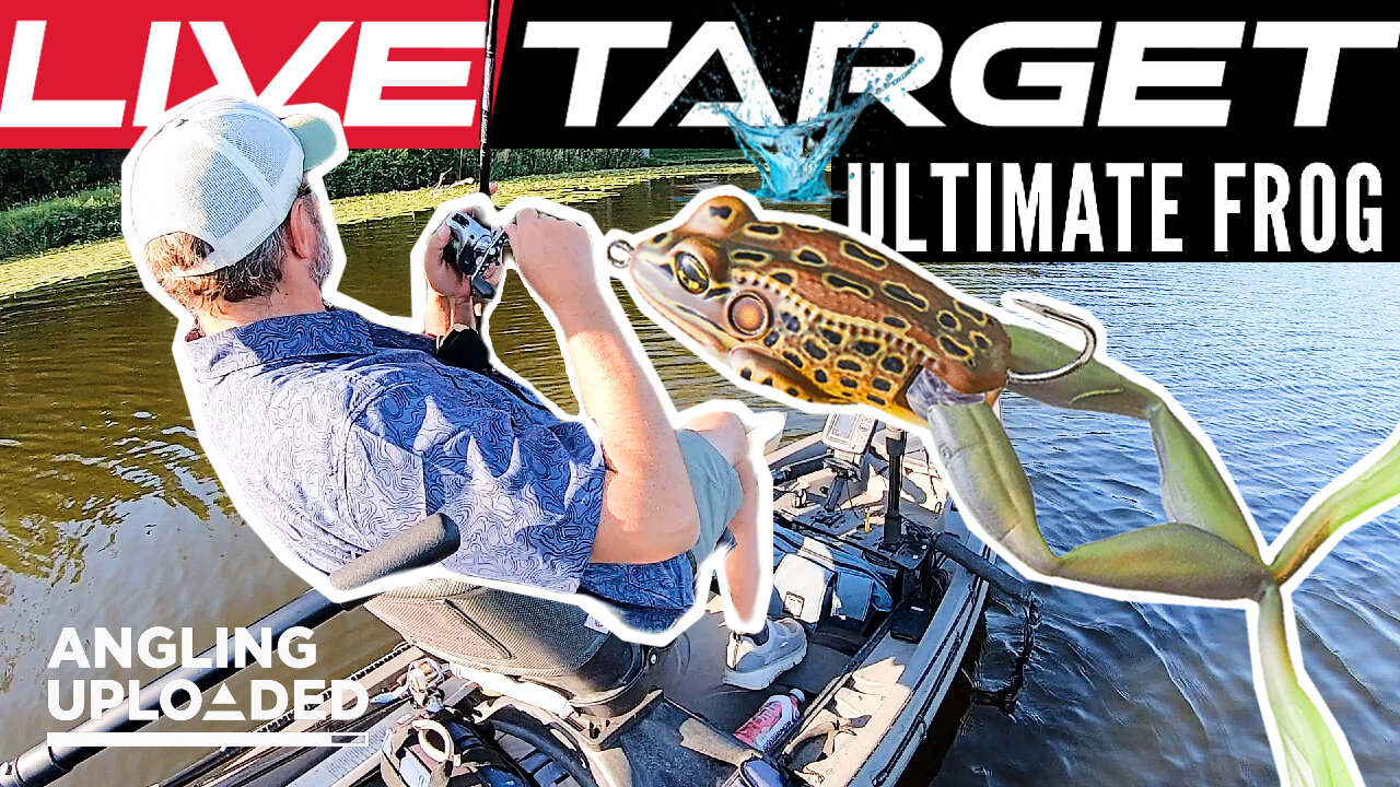 The LIVETARGET Ultimate Frog is UNREAL!