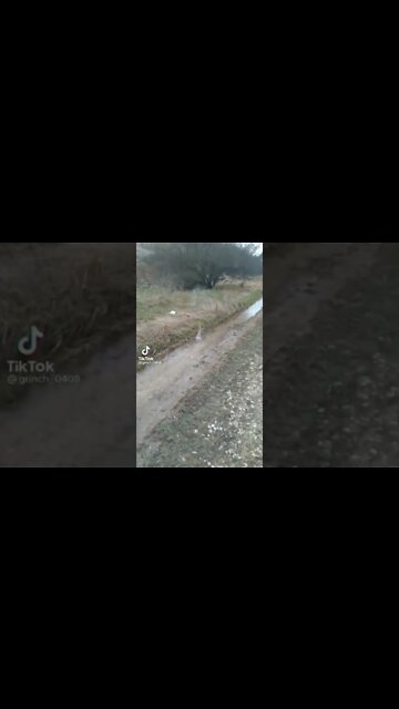 😄🚀🇺🇦🇷🇺🇷🇺