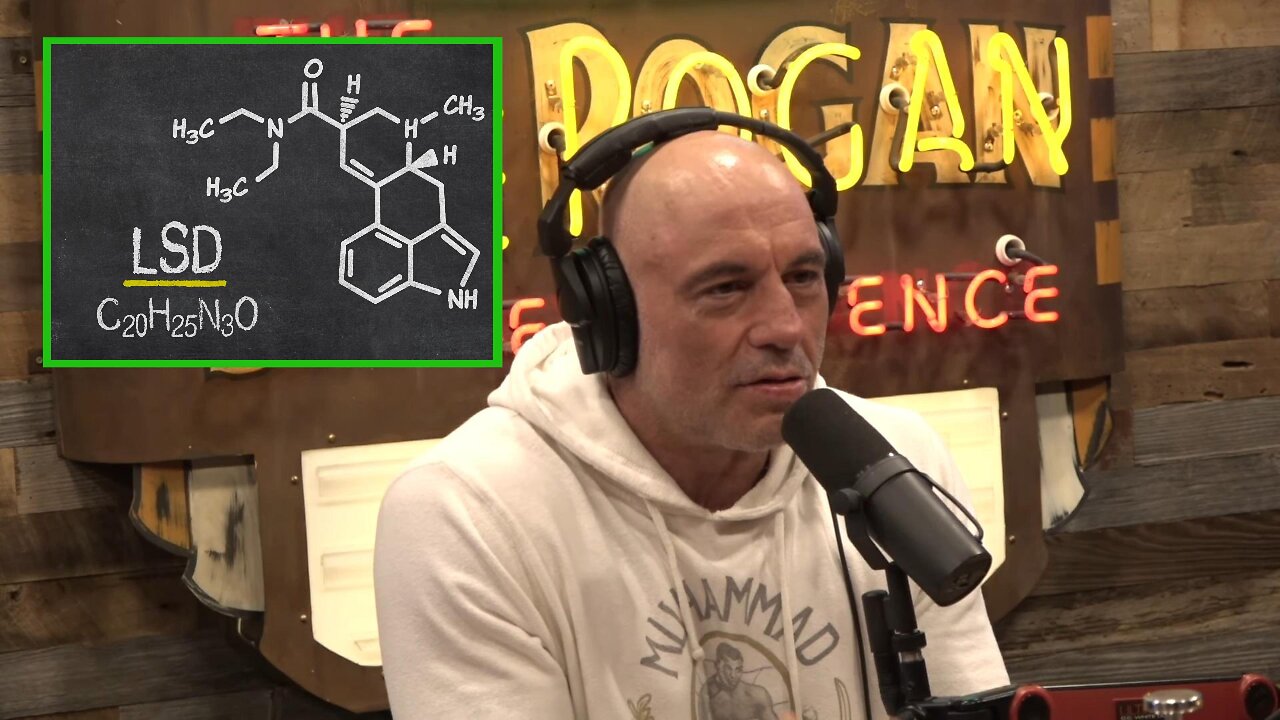 Nazi Germany's Past Psychedelic Age | Joe Rogan Podcast