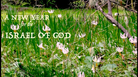 Passover and Unleavened Bread — A New Year for the Israel of God