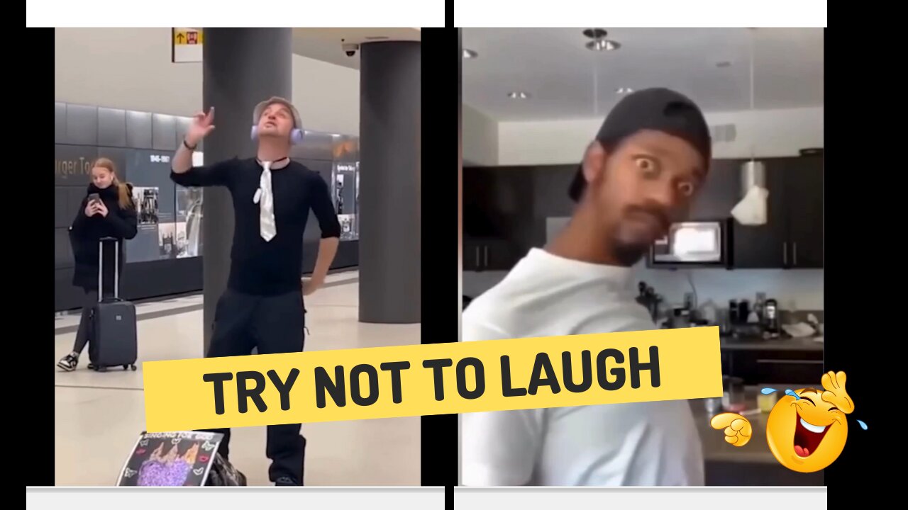 Impossible! Try Not to Laugh Challenge 1 😂 Best Memes Compilation 🐕😂