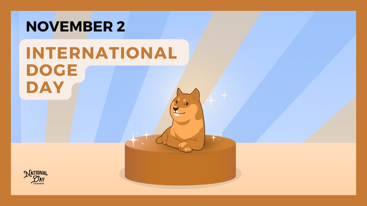 INTERNATIONAL DOGE DAY | November 2