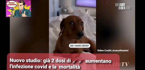 Anche i cani hanno dubbi