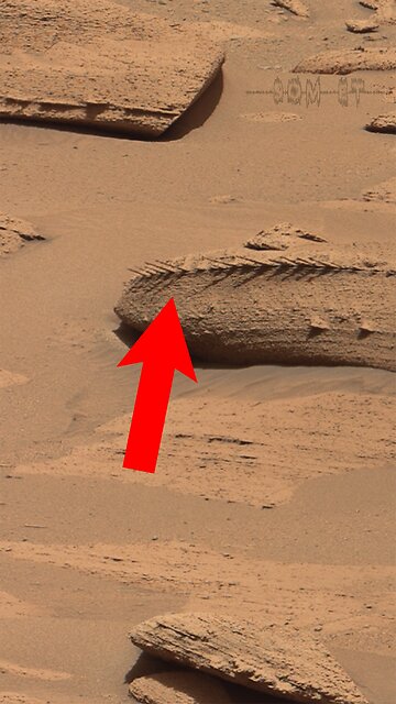 Som ET - 58 - Mars - Curiosity Sol 3786 - Video 1