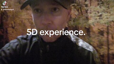 5D experience.