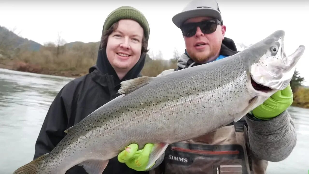 Winter Steelhead Fishing MADNESS! (Bobber Doggin Beads & Bait.)