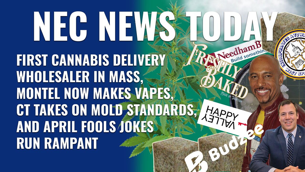 First Delivery Wholesaler, Montel Makes Vapes, CT Sets Mold Standards, April Fools Jokes Run Rampant