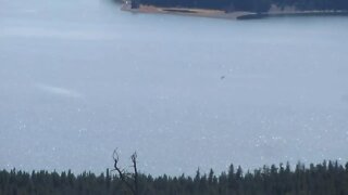 View of Yellowstone Lake
