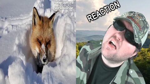 Finnegan Fox The Night Before Christmas Music Video REACTION!!! (BBT)