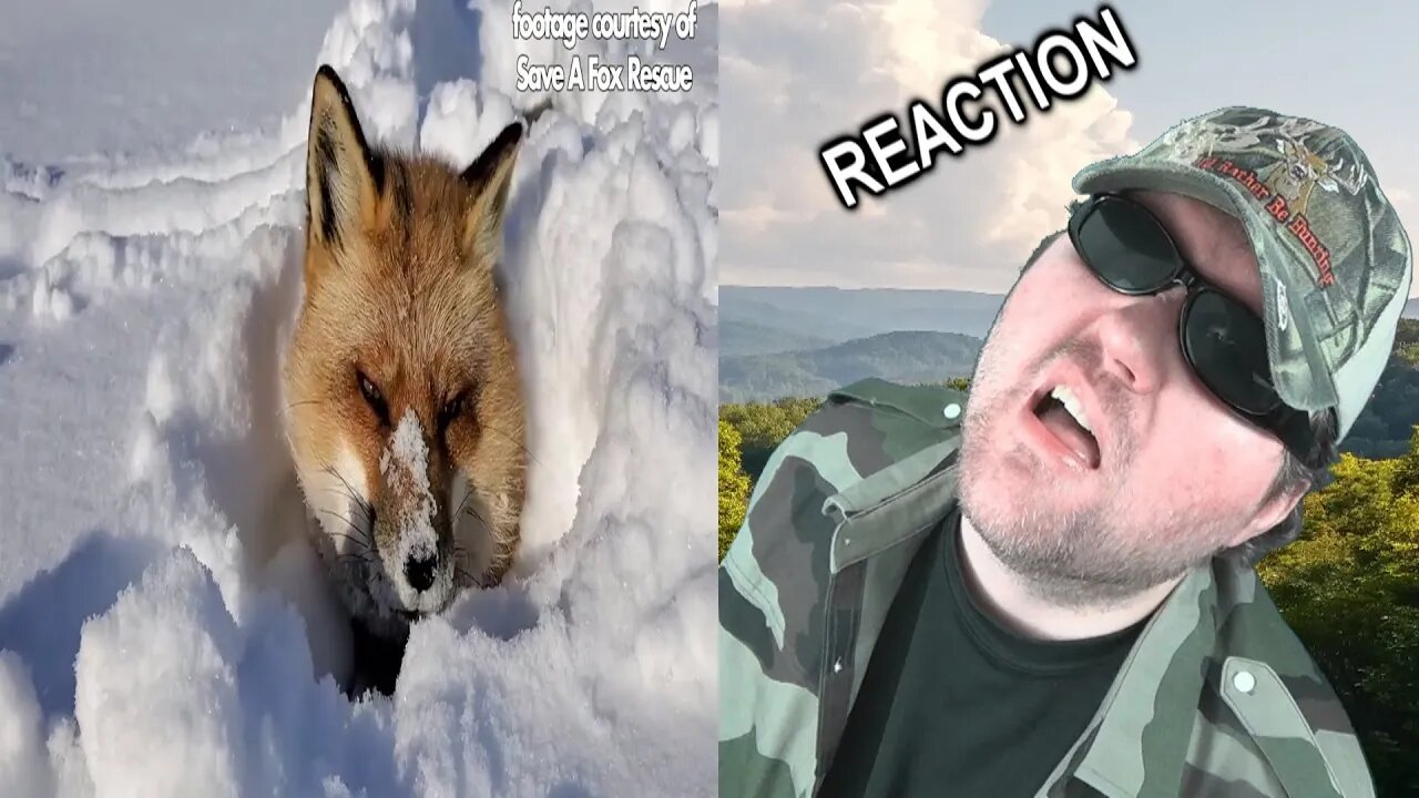 Finnegan Fox The Night Before Christmas Music Video REACTION!!! (BBT)