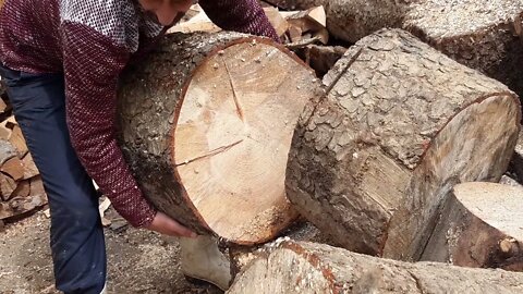 Motorlu Testere ile odun kesme