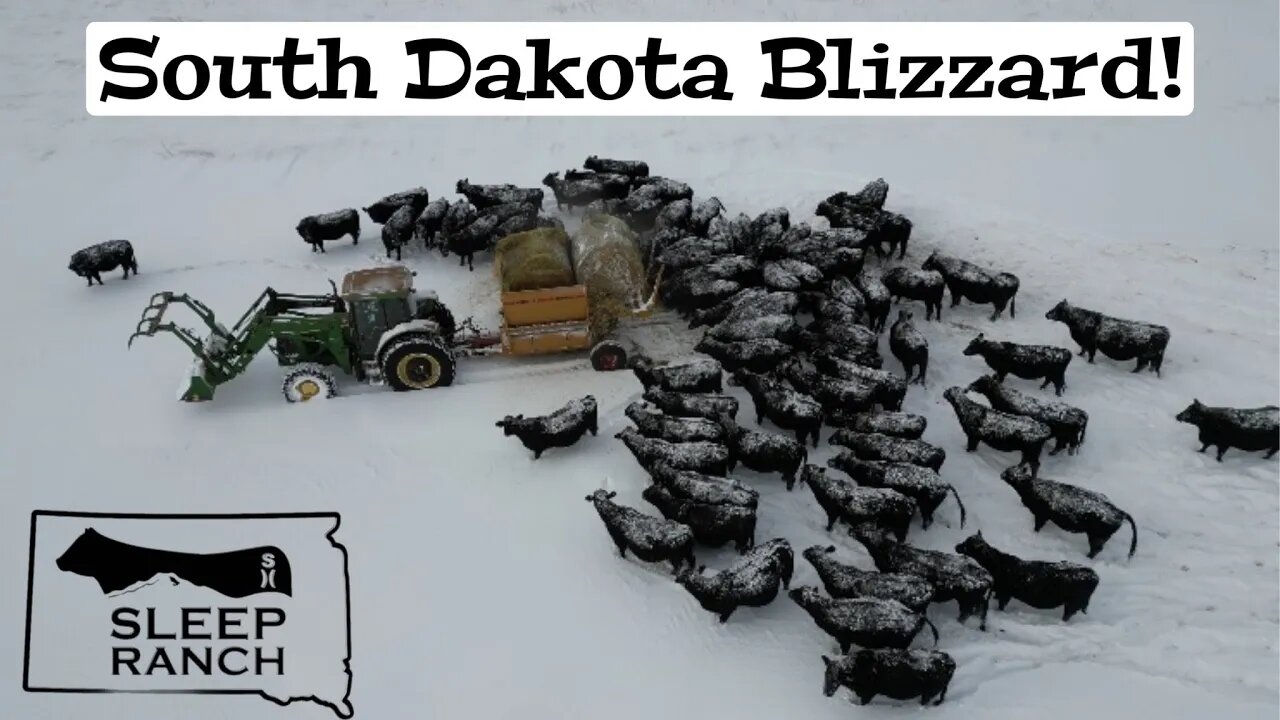 Blizzard Hits the Ranch…