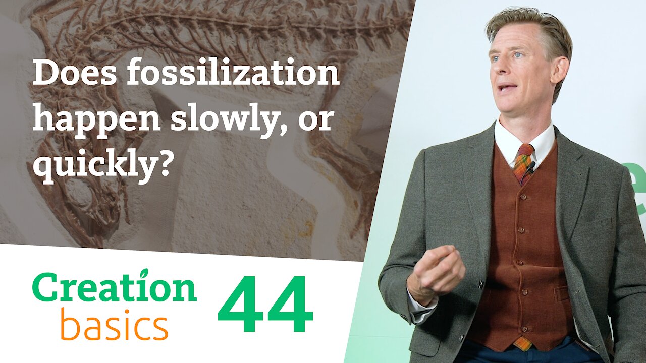 Does fossilization happen slowly, or quickly? (Creation Basics, Episode 44)