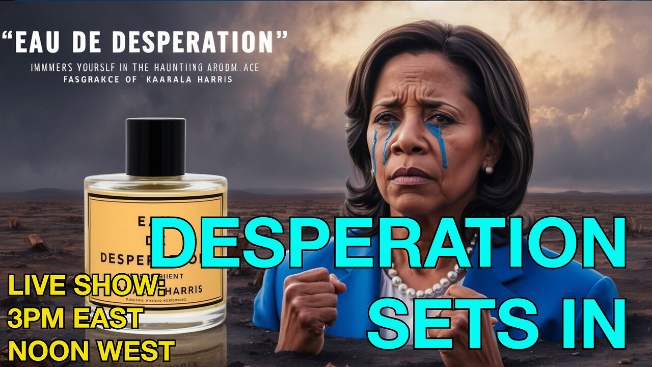 Desperation Nation: The Left's Final Flail in 2024! ☕ 🔥 #election2024 #desperation