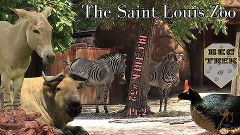 The OLDEST Buildings In The Zoo | The St Louis Zoo | BEC TREK Episode 52 (Pt 2)